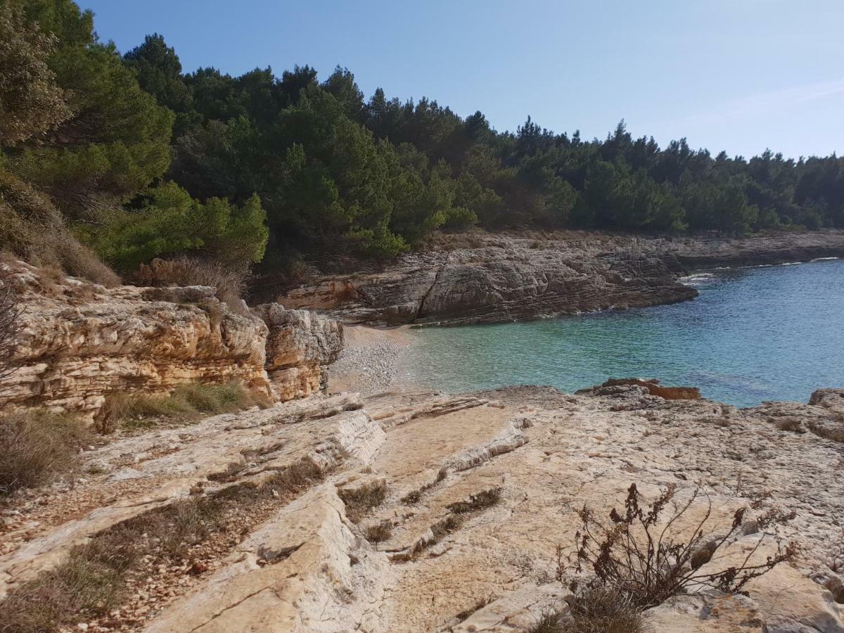 Blue Star Διαμέρισμα Premantura Εξωτερικό φωτογραφία