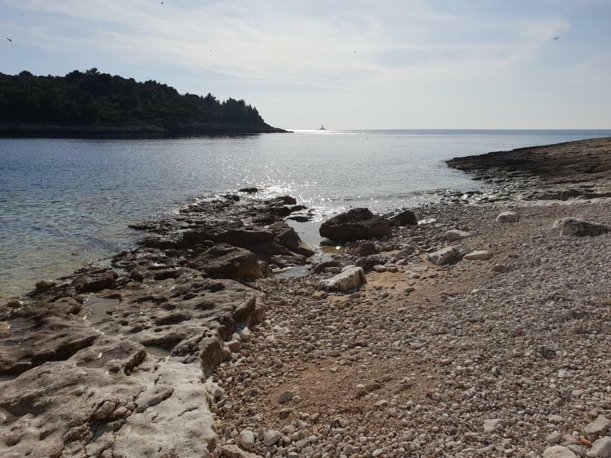 Blue Star Διαμέρισμα Premantura Εξωτερικό φωτογραφία